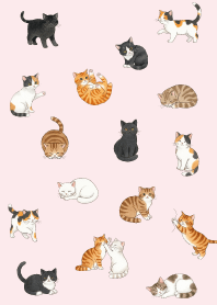 Cute cats daily life_Pink1
