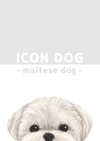 ICON DOG - Maltese dog - GRAY/01