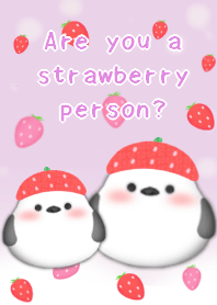 strawberry shimaenagabird theme purple