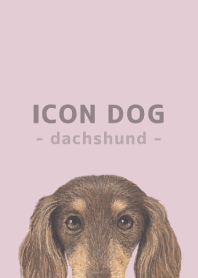 ICON DOG - ダックスフンド - PASTEL PK/12