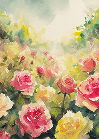 Beautiful rose flower(R4829)