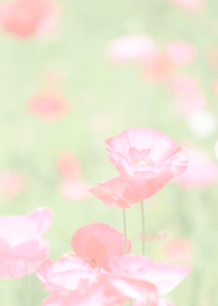 ポピーのきせかえ