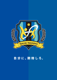 TRAUM TRAINING EMBLEM