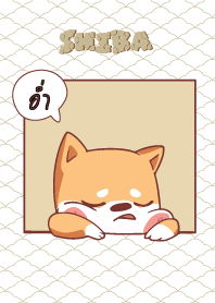 อ่ำ ใครไม่บะ ชิบะ 4 V12