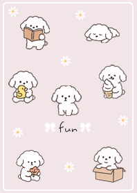 pink Toy Poodle's Daily Life 03_2