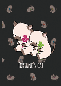 Black & White / Fortune's cat