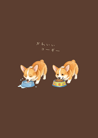 My adorable Corgi(dark brown)