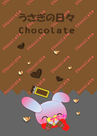 Rabbit daily<Chocolate>