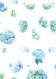 シンプル紫陽花＊ブルー