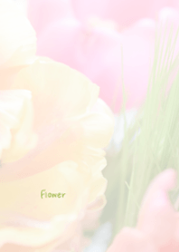 Flower Theme 50