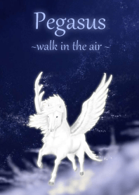 Pegasus~walk in the air~