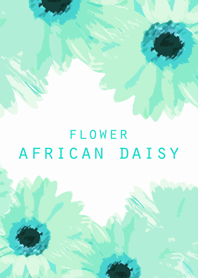 FLOWER AFRICAN DAISY!!