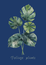 Elegant foliage plant(Navy blue)