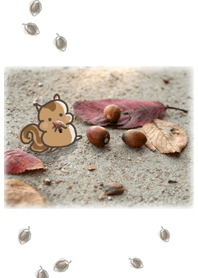 Acorn and Squirrel Theme