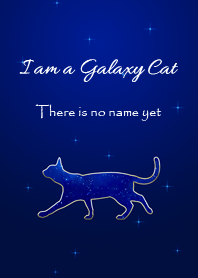 I am a Galaxy Cat