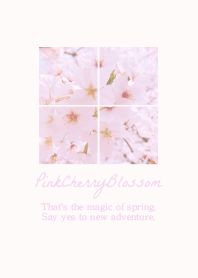 pink cherry blossom-natural style