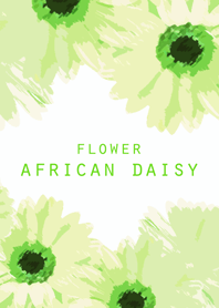 FLOWER AFRICAN DAISY!!!!
