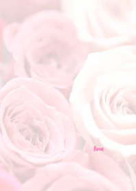 Rose Theme 54
