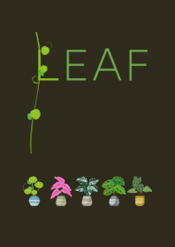 AbabaFoliage Revised Version