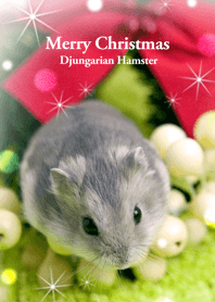 Merry Christmas Djungarian Hamster