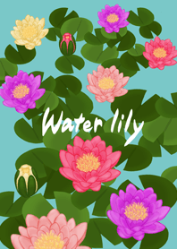 Water lily