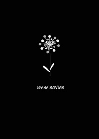 Adult Scandinavian design.10