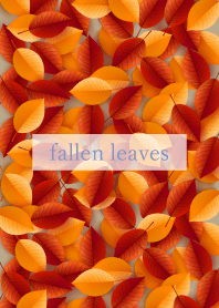 autumn fallen leaves 29