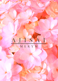 AJISAI -flower-