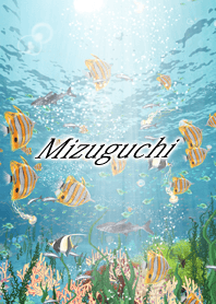 Mizuguchi Coral & tropical fish