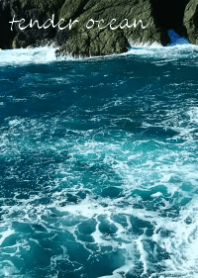 tender ocean