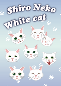 Shiro Neko; White cat