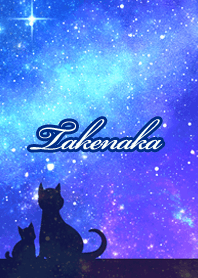 Takenaka Milky way & cat silhouette