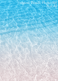 Tropical Beach Photo 328 Not AI