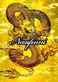 Narifumi Golden Dragon Money luck UP