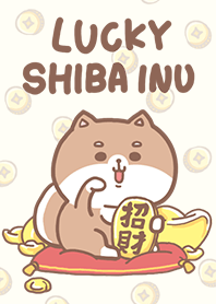 misty cat-Shiba Inu lucky 2