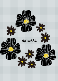 2 types of flowers check black3