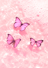 Butterfly Bearch Pink