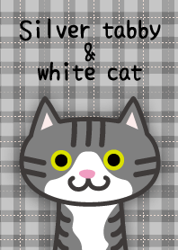 "แมวลายสีเงินและแมวสีขาว" ชุดรูปแบบ