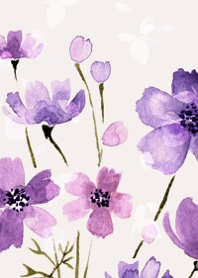 水彩で描くコスモスの優しい世界・3