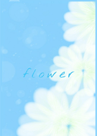 Soft-flower