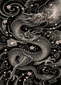 The Dragon and Falling Sakura