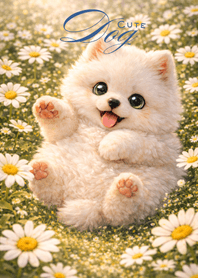 Fluffy Samoyed in Daisy Field