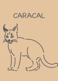カラカル　シンプル　ブラウン