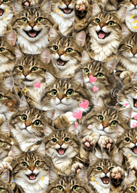 可愛！西伯利亞貓主題