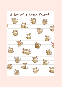 A lot of tibetan foxes note/LIGHT PINK