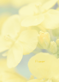 菜の花のきせかえ2