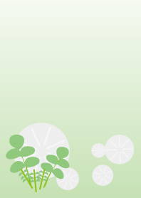 Radish leaves and slices