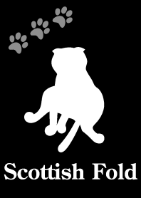スコティッシュフォールド
