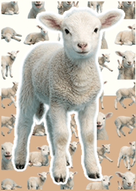 baby sheep Beige Yellow