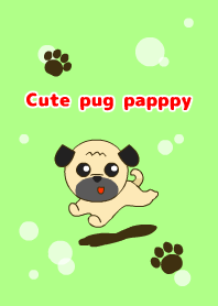 Cute pug puppy!